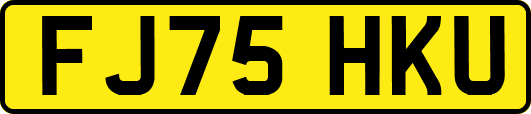 FJ75HKU