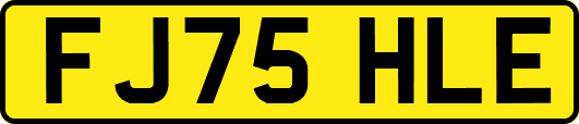 FJ75HLE