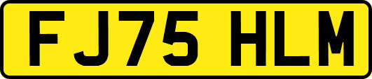 FJ75HLM