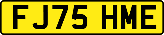 FJ75HME