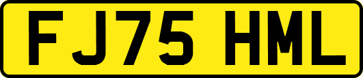 FJ75HML
