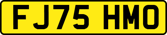 FJ75HMO