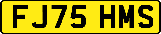 FJ75HMS