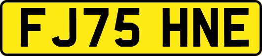 FJ75HNE