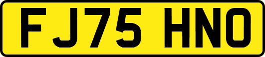 FJ75HNO