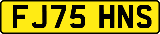 FJ75HNS