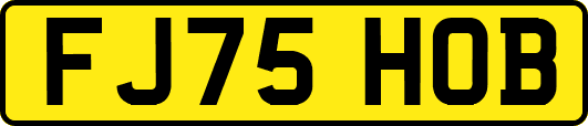 FJ75HOB