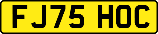 FJ75HOC