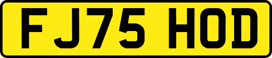 FJ75HOD