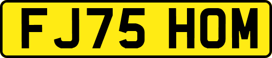 FJ75HOM