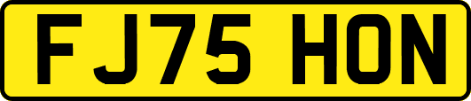 FJ75HON
