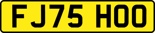 FJ75HOO