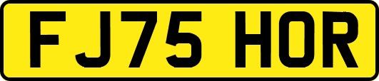 FJ75HOR