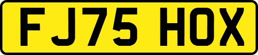 FJ75HOX
