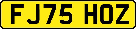 FJ75HOZ