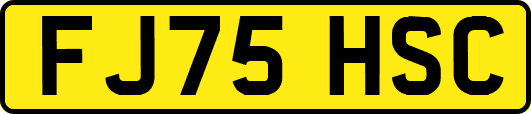 FJ75HSC