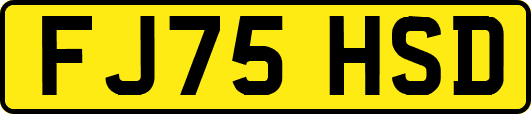 FJ75HSD