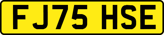 FJ75HSE