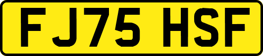 FJ75HSF