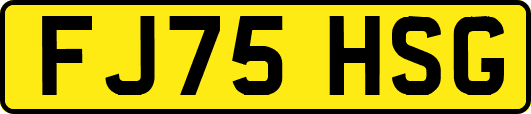 FJ75HSG