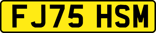 FJ75HSM