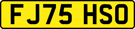 FJ75HSO