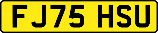 FJ75HSU