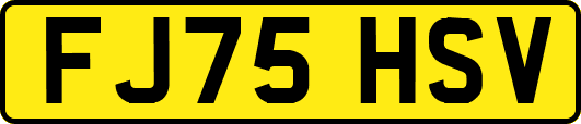 FJ75HSV