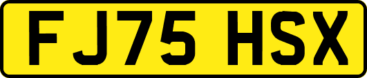 FJ75HSX