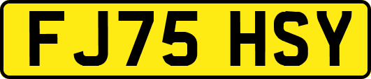 FJ75HSY