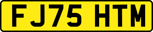 FJ75HTM
