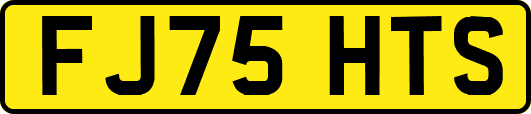 FJ75HTS