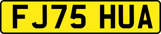 FJ75HUA