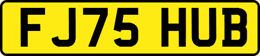 FJ75HUB