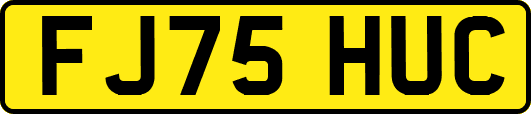 FJ75HUC