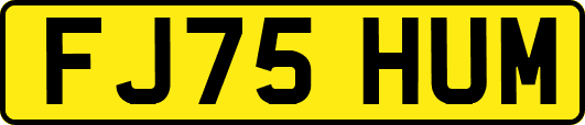 FJ75HUM