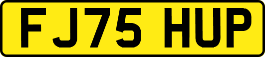 FJ75HUP
