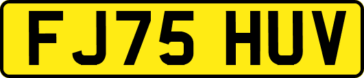 FJ75HUV