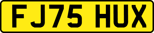 FJ75HUX