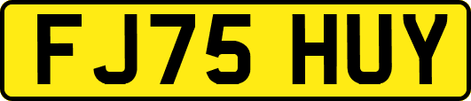 FJ75HUY