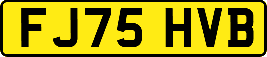 FJ75HVB