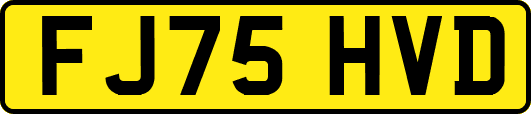 FJ75HVD