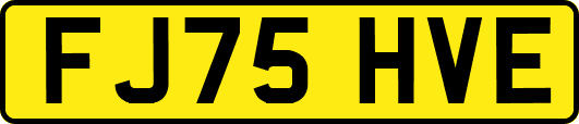 FJ75HVE