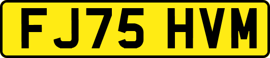 FJ75HVM