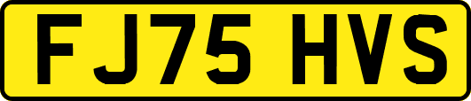 FJ75HVS