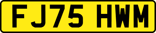 FJ75HWM