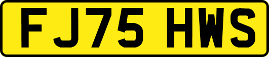 FJ75HWS