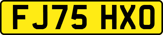 FJ75HXO