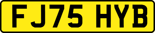 FJ75HYB