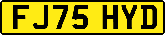 FJ75HYD
